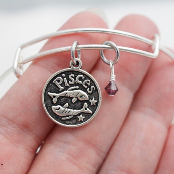 February Pisces Adjustable Charm Bangle - Handmade Zodiac Bracelet - Picture 5 of 11